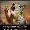 cesarintz.0007