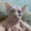 bananowyz189