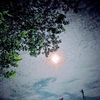 78chand