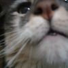 ristretto_18