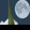 cuongvt6