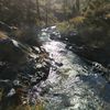 yanlizkurt_31