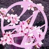 shijiminex_rmpg