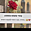 alaminchowdhury667