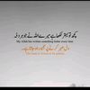 shazadi6884
