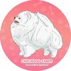 Chickdog Pet Shop