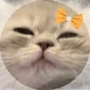 hellomylove_14