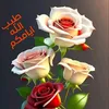 om.alawlad22