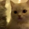 puffffffffffffffffffffff