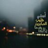 mahmoud3306
