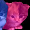 nohemy1_5