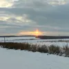Марина Лядова