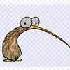 _kiwi67_