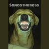 Sanca The boss555