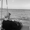 fedawy__1