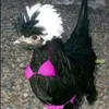 _random_person100