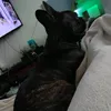 peggykassube