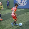 tavinamafut
