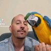 leothemacaw