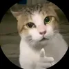 dreampocox7pro