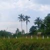 bosalpuket123