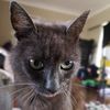 bronwyn.brown6