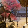 kaktang