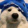 suhoshii_