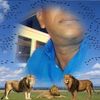 luximan.sakoo