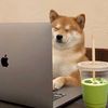 matcha_lovers068