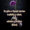 erblinabina01