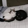 holdyoursneezes