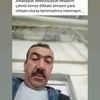 alimbudak305
