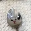 ameci_q