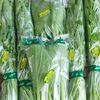 hidroponik_sayur