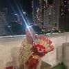 mohdmazlanmohd898