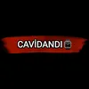 cavidan376