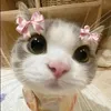 oidoioi_361