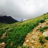 qernas_alatawi
