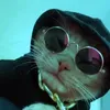 krasniqimedon123