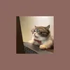nwctrb__