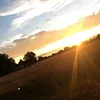 omranz47_