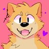 slickshibe