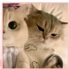its_rubab_08