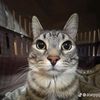 alexanderneymarrgmail.co
