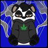 local_panda_3