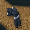 brii_1.00