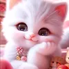 user2872002775830