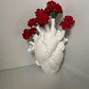li_lyan02
