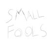Small Fools